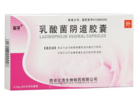 乳酸菌胶囊,复合乳酸菌胶囊的助消化与调节作用解析