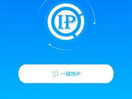 中国代理ip,助力网络畅游的神秘力量
