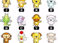 2019什么生肖,财运、事业、感情全方位解读