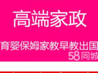 北京家政网,全方位解析家政行业现状与发展趋势”