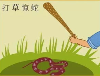 打草惊蛇的典故,打草惊蛇成语的诞生与启示