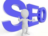 seo人,探索搜索引擎优化之路的挑战与收获